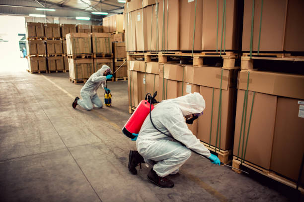Flea Control Services in Flagler Beach, FL