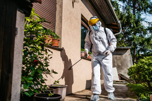 Best Ant Control Services  in Agler Beach, FL