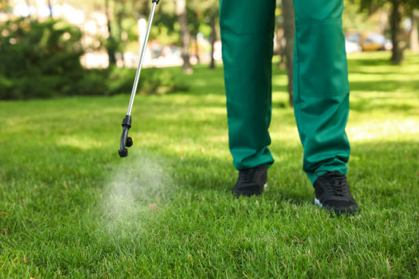 Best Pest Control Near Me  in Agler Beach, FL