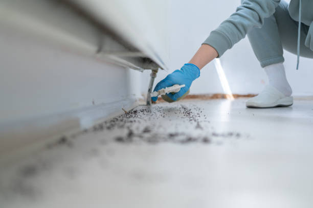 Best Pest Inspection Near Me  in Agler Beach, FL
