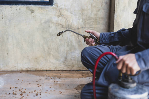 Best Best Pest Control Companies  in Agler Beach, FL